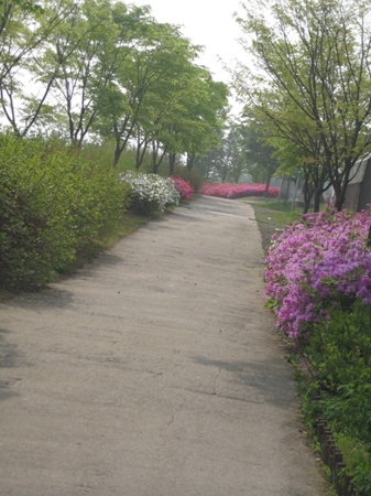 431e82acb34e5f41c780f33711ebb938.jpg